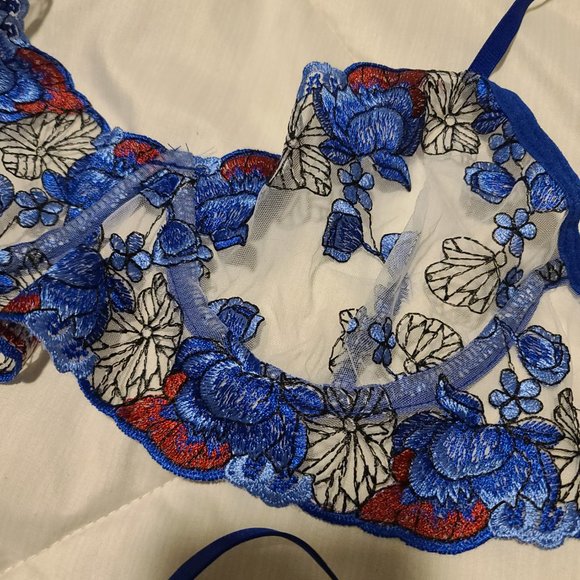 Embroidered Sheer Bra Set! - Picture 3 of 4